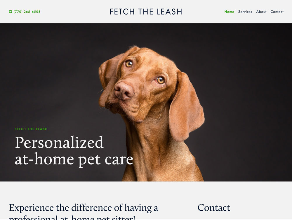 image of a local, dog-walking company's website featuring an image of a beautiful dog with their head titled to the side, and text offering personalized home pet care services